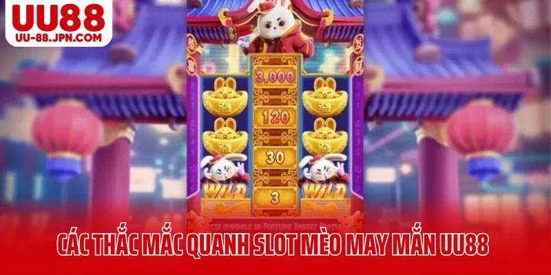 Các thắc mắc quanh slot mèo may mắn UU88