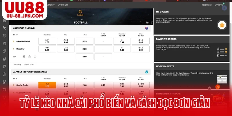 Tổng hợp tỷ lệ kèo nhà cái phổ biến và cách đọc đơn giản